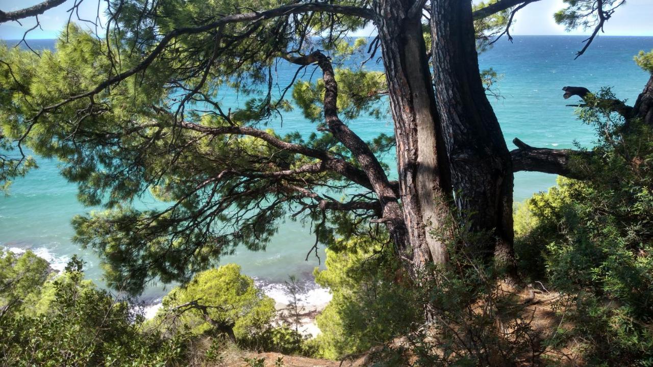 2-Bed Maisonette In Pine Forest, 250M From Beach Between Skala Fourka And Siviri Villa Skala Fourkas Exterior photo