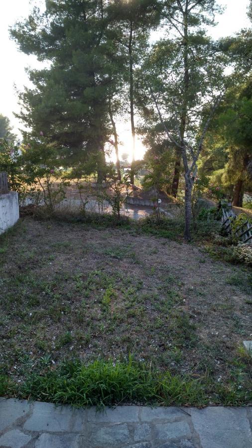 2-Bed Maisonette In Pine Forest, 250M From Beach Between Skala Fourka And Siviri Villa Skala Fourkas Exterior photo
